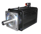 Brushless Servo Motors